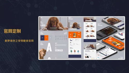 深圳網(wǎng)站建設(shè) 深圳軟件開(kāi)發(fā) 深圳app定制 企業(yè)官網(wǎng)建設(shè) 品牌推廣